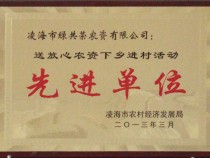 送放心农资下乡进村活动先进单位