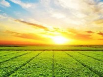 锦州尊龙凯时作物保；；；；；；；び邢薰