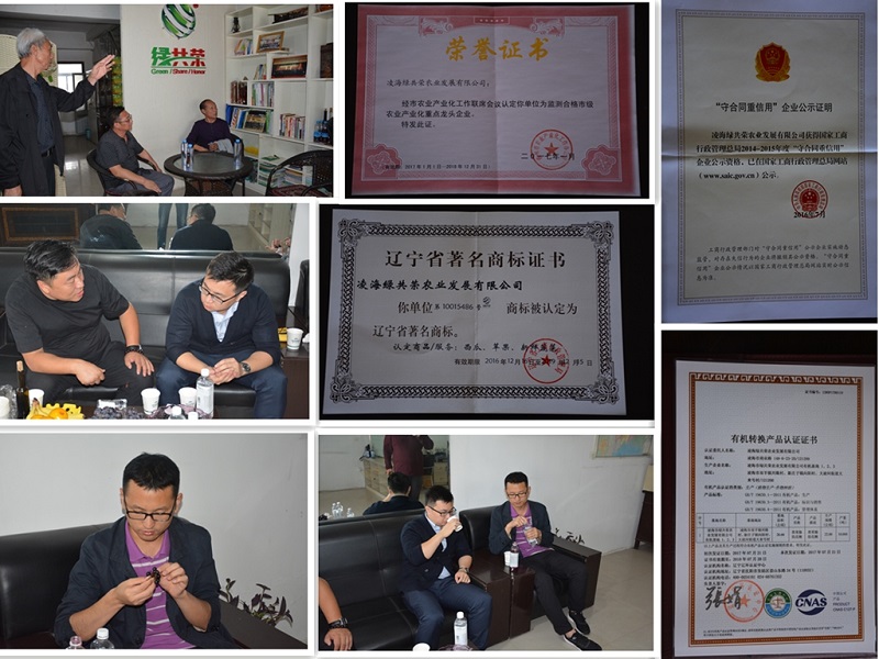人生就是博·(中国) - 官方网站