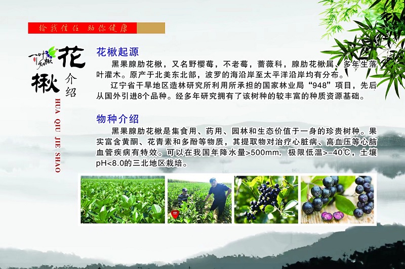 人生就是博·(中国) - 官方网站