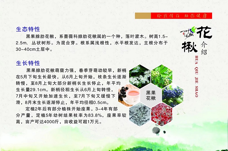 人生就是博·(中国) - 官方网站