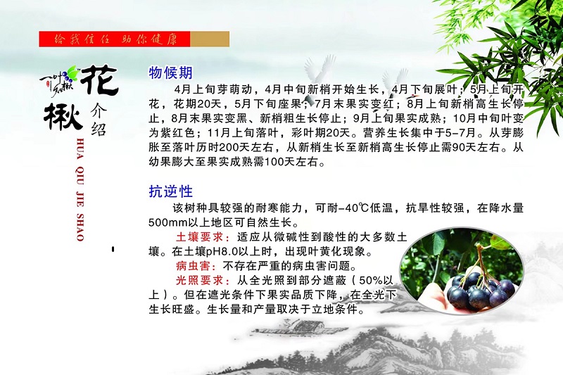 人生就是博·(中国) - 官方网站