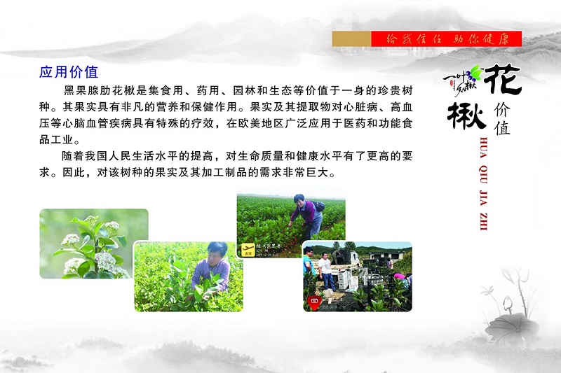 人生就是博·(中国) - 官方网站