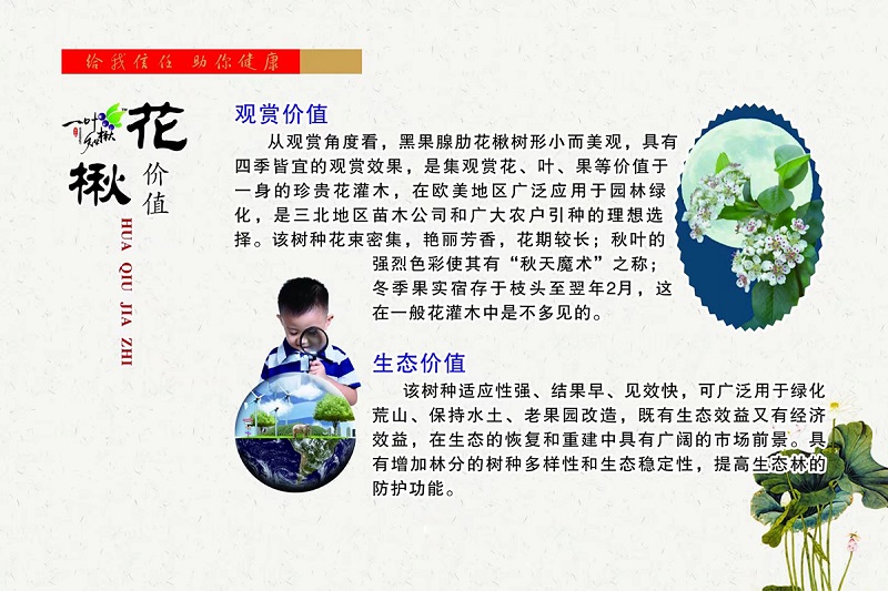 人生就是博·(中国) - 官方网站
