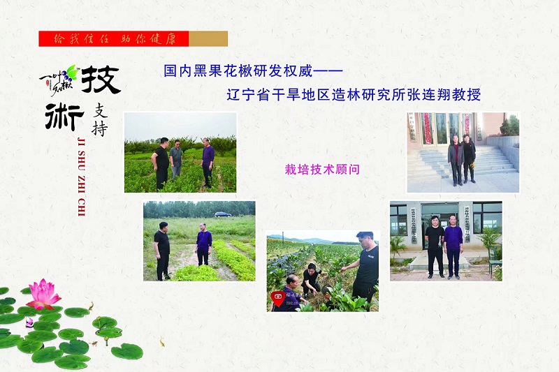 人生就是博·(中国) - 官方网站