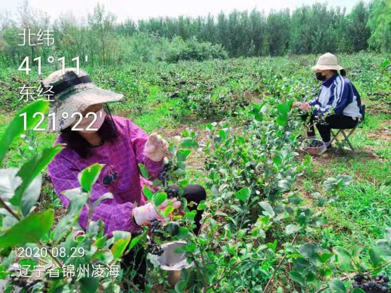 人生就是博·(中国) - 官方网站