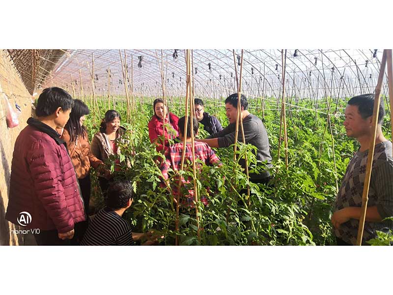 人生就是博·(中国) - 官方网站
